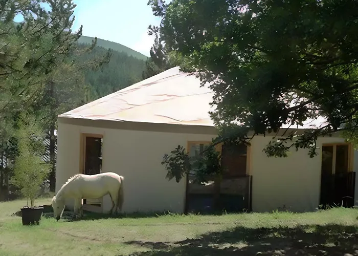 Hébergement de vacances 4 Etoiles En Pleine Nature 8 Pers.